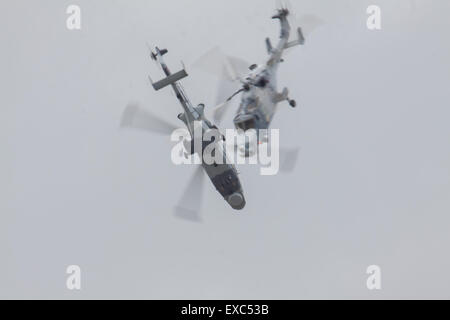 Yeovilton International Air giorno, Ilchester, Somerset, Regno Unito. 11 Luglio, 2015. I gatti neri Royal Navy team display battenti una coppia di Wildcat HMA MK 2. Credito: David Billinge/Alamy Live News Foto Stock