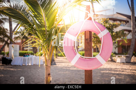 La vita della cinghia sulla spiaggia caraibica in Repubblica Dominicana Foto Stock