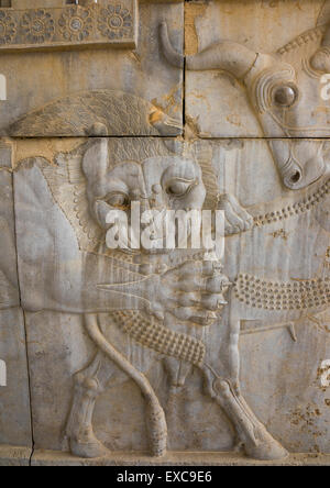 Il bassorilievo di un simbolo in zoroastriano per Nowruz, far Provincia, Persepolis, Iran Foto Stock