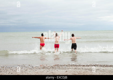 Milwaukee Orso Polare Orso Polare immergersi sul Lago Michigan a Milwaukee nel Wisconsin Foto Stock