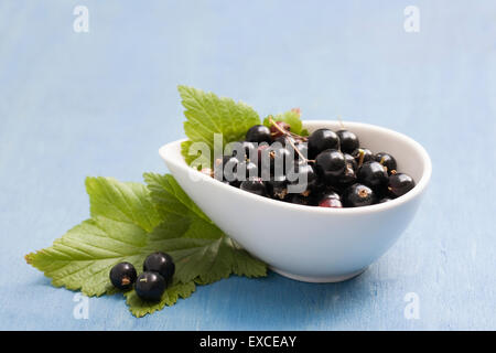 Ribes nigrum. Appena raccolto ribes nero in una ciotola. Foto Stock