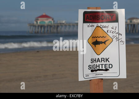 Huntington Beach, California, Stati Uniti d'America. 11 Luglio, 2015. Bagnini riaperto acque sabato mattina in Huntington Beach dopo un surfista è stato azionato da uno squalo il venerdì. "Abbiamo avuto un incidente di ieri al 8:45 [a.m.] che coinvolgono un surfista che era seduto sul suo bordo a Beach Boulevard e ha effettivamente ottenuto urtato da uno squalo, e basato sul nostro protocollo che è definito come un comportamento aggressivo", Lt. Panis detto bagnini ha preso la precauzione di gradino chiudendo la spiaggia per nuotatori un miglio in entrambe le direzioni. Credito: Duncan Selby/Alamy Live News Foto Stock