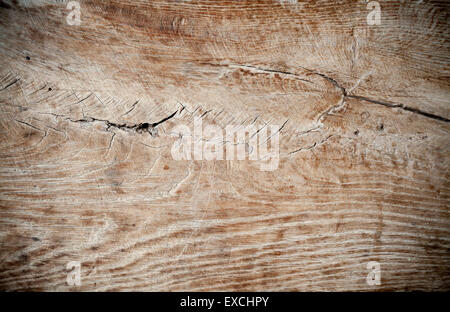 Primo piano di un vecchio superficie in legno, dettagli di una texture. Foto Stock