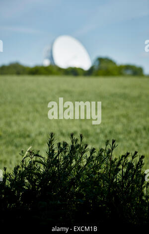 Il Jodrell Bank Observatory (originariamente il Jodrell Bank Stazione Sperimentale, poi il Nuffield radio astronomia laboratori f Foto Stock