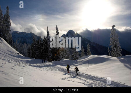 Sciatore nordico, Mt Rainier National Park, Washington Foto Stock