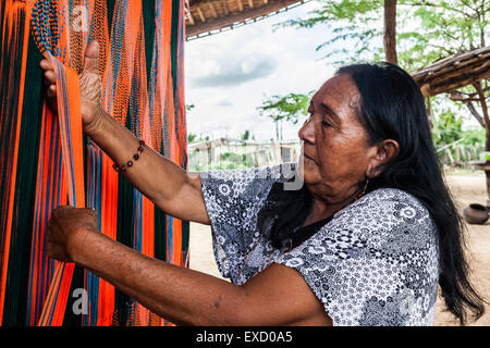 Anziani Wayuu donna indigena la tessitura di una 'chinchorro' o amaca colombiana. Lavorazione a maglia, a crochet e tessitura sono fondamentali per Foto Stock