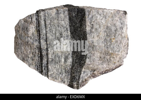 Anfibolo gneiss (rocce metamorfiche) Foto Stock
