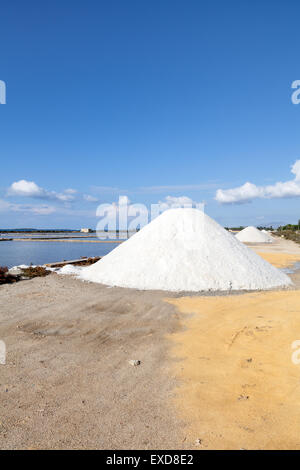 Marsala saltern, Sicilia, Italia meridionale Foto Stock