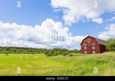 Vista panoramica di un vecchio fienile bianco con sfere di insilato con un cielo blu Foto Stock