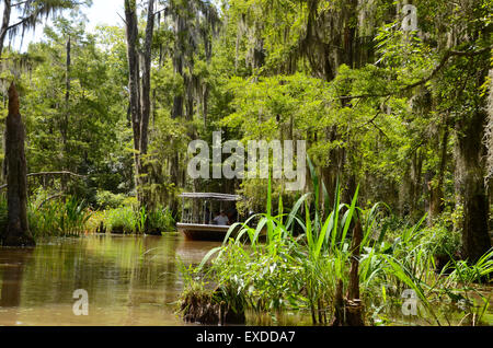 Louisiana Swamp Pearl River bayou new orleans tour in barca Foto Stock