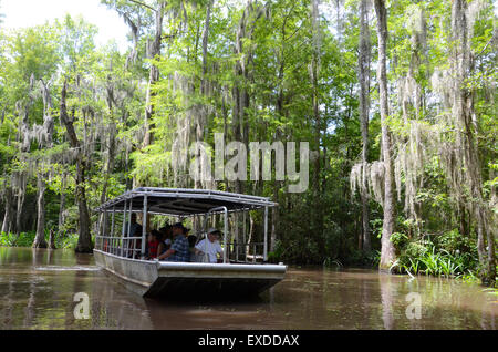 Gita in barca della Louisiana Swamp Pearl River bayou new orleans Foto Stock