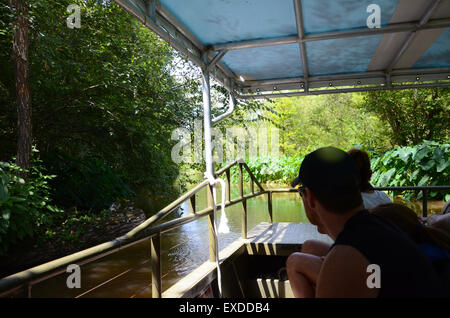 Gita in barca della Louisiana Swamp Pearl River bayou new orleans Foto Stock