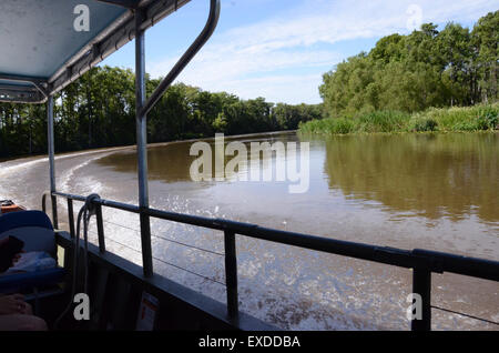 Louisiana Swamp Pearl River bayou new orleans Foto Stock