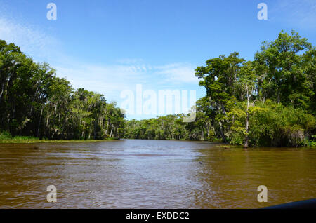 Louisiana Swamp Pearl River bayou new orleans Foto Stock