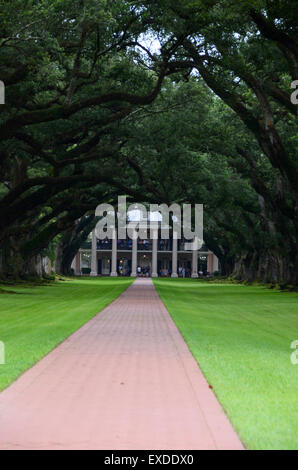 Oak Alley Plantation Foto Stock