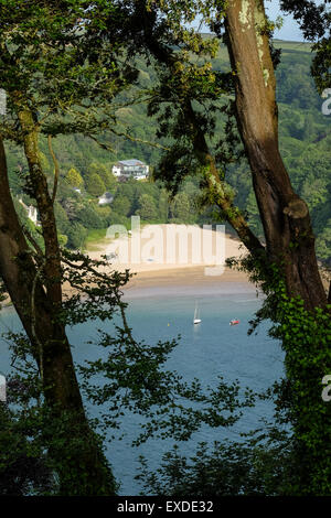 Mill Bay Beach in Devon visto attraverso gli alberi da Salcombe che è ad una breve tratta di traghetto attraverso l'acqua Foto Stock