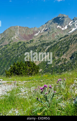 Route des Lacs, Midi-Pirenei, Francia Foto Stock