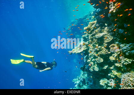 Mar Rosso, Egitto - donna snorkeling subacquea, Coral reef, buco blu vicino a Dahab Foto Stock