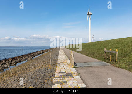 Costa olandese con Dike ed enormi turbine eoliche Foto Stock