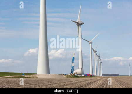 Terreni agricoli con i lavori di costruzione a centrali eoliche lungo la diga del Noordoostpolder nei Paesi Bassi. L'altezza dell'assale di questi Foto Stock