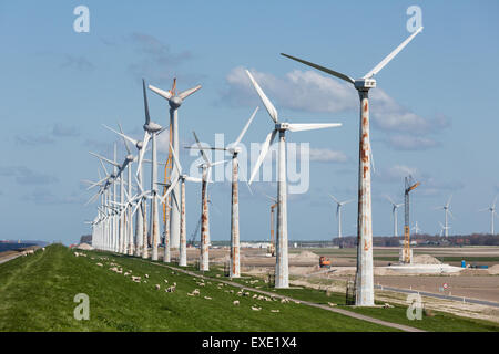 La costruzione di nuove centrali eoliche lungo la costa olandese con il vecchio esistente windturbines più piccoli ancora in produzione Foto Stock