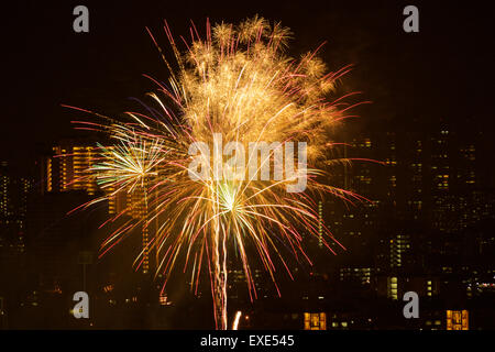 Vista in elevazione di esplodere i fuochi d'artificio. Shot presi da alta vantage point leggermente al di sopra del burst. Foto Stock