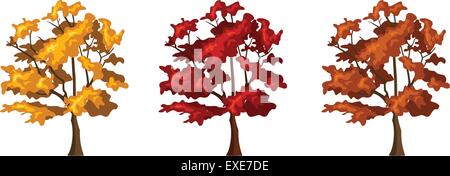 Set di tre alberi d'autunno. Illustrazione Vettoriale. Illustrazione Vettoriale