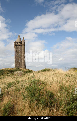 Scrabo Tower a Derry contea di Down Irlanda del Nord Foto Stock