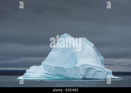Iceberg galleggianti in acqua, Scoresbysund, est della Groenlandia, Groenlandia Foto Stock