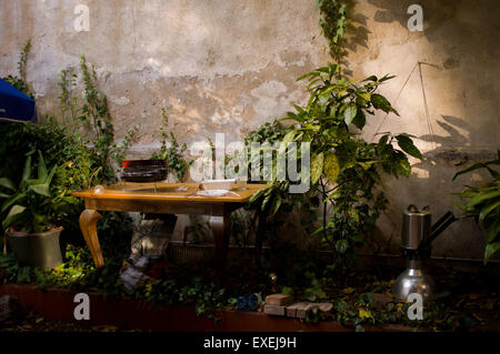 Resti di un barbecue sono visibili nel cortile di una casa in Badalona (nord di Barcellona - Spagna) il 11 luglio, 2015. Foto Stock