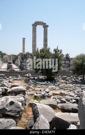 Didyma era il più importante santuario della antica città greca Mileto. Accanto a Delfi era il più rinomato e oracle Foto Stock