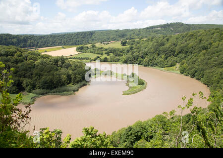 Vista nord verso Lancaut su incisa meandro, gorge e fiume allo spiedo, fiume Wye, vicino a Chepstow, Monmouthshire, Wales, Regno Unito Foto Stock