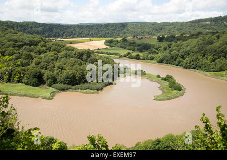 Vista nord verso Lancaut su incisa meandro, gorge e fiume allo spiedo, fiume Wye, vicino a Chepstow, Monmouthshire, Wales, Regno Unito Foto Stock