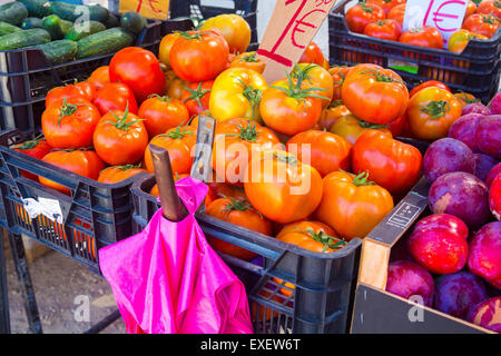 Solanum lycopersicum rosso fresco e i pomodori verdi Foto Stock