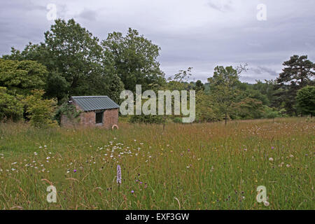 La Pumphouse ad alta bosco di faggi e acqua giardino, Handcross West Sussex, in Inghilterra, Regno Unito, GB Foto Stock