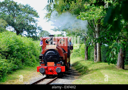 Talyllyn Railway n. 1 "Talyllyn del 1864 vicino stazione Rhydyronen con una speciale centocinquantesimo anniversario treno 'l'Sesquicentarian' Foto Stock
