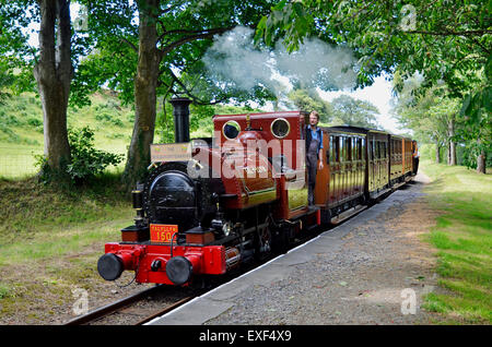 Talyllyn Railway n. 1 "Talyllyn 1864 passa Rhydyronen stazione con una speciale centocinquantesimo anniversario treno 'l'Sesquicentarian' Foto Stock