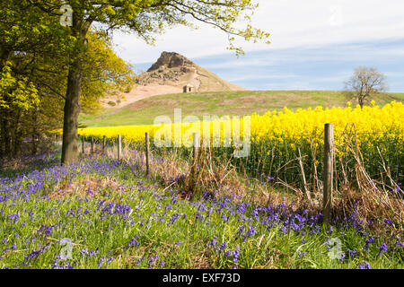 Roseberry Topping nel glorioso sole Foto Stock