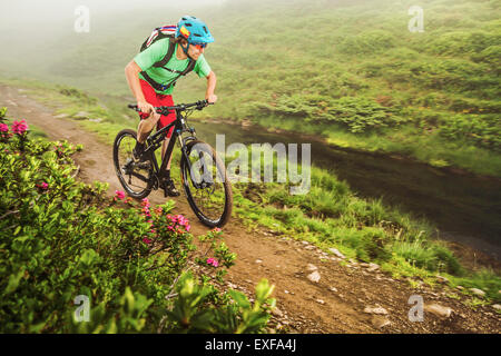 Giovane maschio della mountain bike Escursioni in bicicletta accanto al flusso Foto Stock