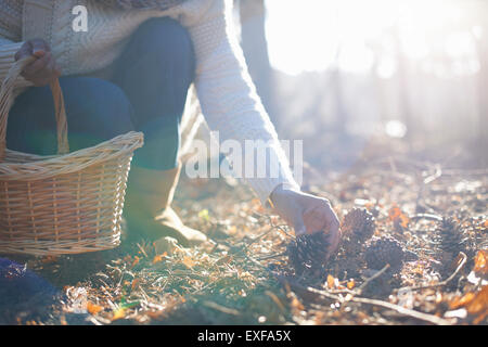 Ritagliato colpo di donna matura picking pigne in foresta Foto Stock