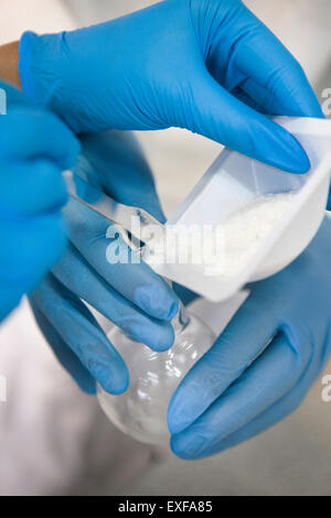 Maschio e femmina mani guantate il trasferimento di polvere nel pallone da laboratorio Foto Stock