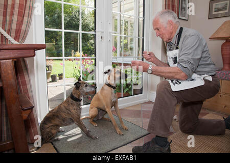 Senior uomo insegnamento cani per sedersi e aspettare per tratta Foto Stock