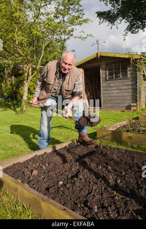 L'uomo anziano, terreno di scavo in giardino Foto Stock