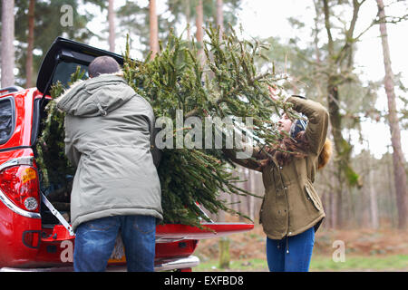 Coppia giovane di sollevamento albero di Natale nel bagagliaio della vettura Foto Stock