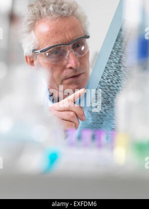 Scienziato di DNA di visualizzazione autoradiogramma esperimento in laboratorio Foto Stock