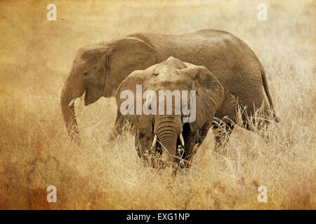 Due elefanti africani, Loxodonta africana, nel Parco Nazionale del Serengeti, Tanzania. Tonalità seppia vintage immagine con effetto grunge. Foto Stock