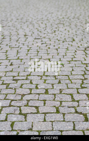 Cobblestone pavement con moss crescente tra le pietre, sfondo sfocato Foto Stock