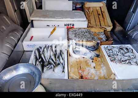 Il pesce fresco viene venduto da un furgone. Creta, Grecia Foto Stock