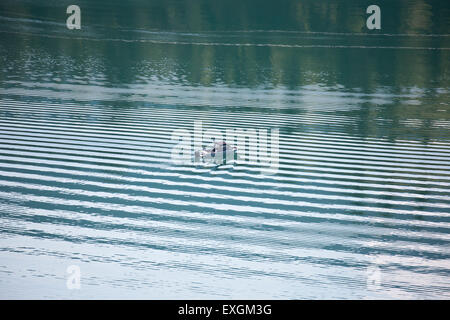 Una solitaria barca sul Lago di Vernon in Canada Foto Stock