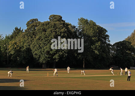 Cricket - Kent Cricket League Division IV 1XI - Faversham Cricket Club v Cowdrey Cricket Club Foto Stock